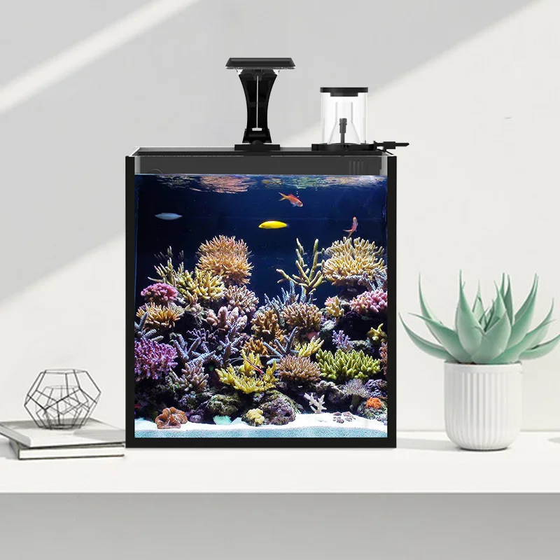 Goede Dw Aquarium 3.5 Gallon 12L Glas Nano Cube Aquarium Met Eiwitafschuimer Led En 220V-240V Water Pomp Marine Tank