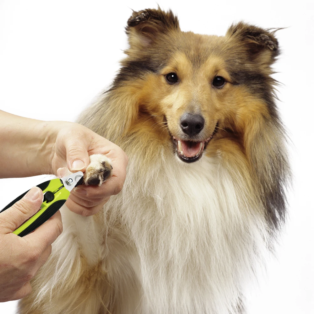 1 Набор машинка для стрижки ногтей кошек и собак набор маникюра с круглой