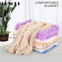 tongdi dog pet carpet mat soft warm pashmina long plush suede absorbent anti slip rug decor for home parlour living room kitchen
