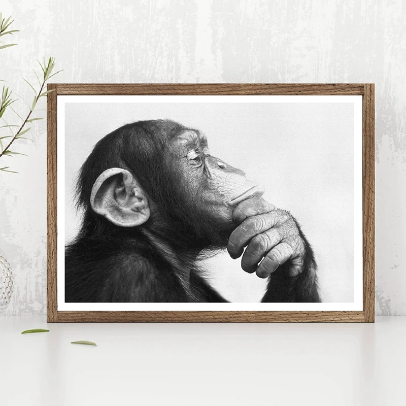 Обезьяна черно-белый фотопостер печать домашний Настенный декор Художественная