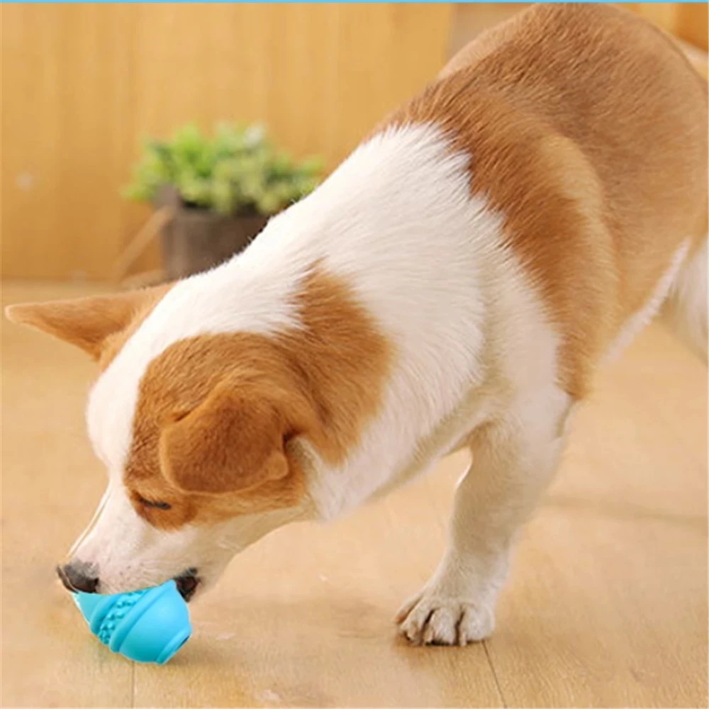 

Собака Тыква шарики натуральный каучук молярная палочка жевательные игрушки для домашних животных собака щенок Смарт кормушка для собак и ...