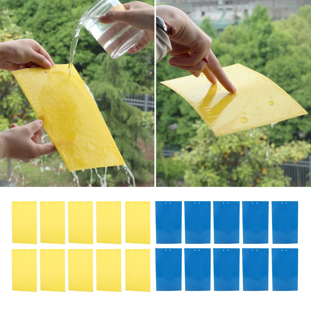 10 шт липкая ловушка фрукты муха и Грибка Ловушка Убийца внутри снаружи защита