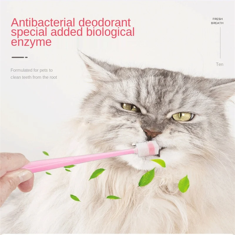 

Cat suit with a toothbrush toothpaste dogs in addition to bad breath edible pet brush your teeth to teeth fur cat supplies