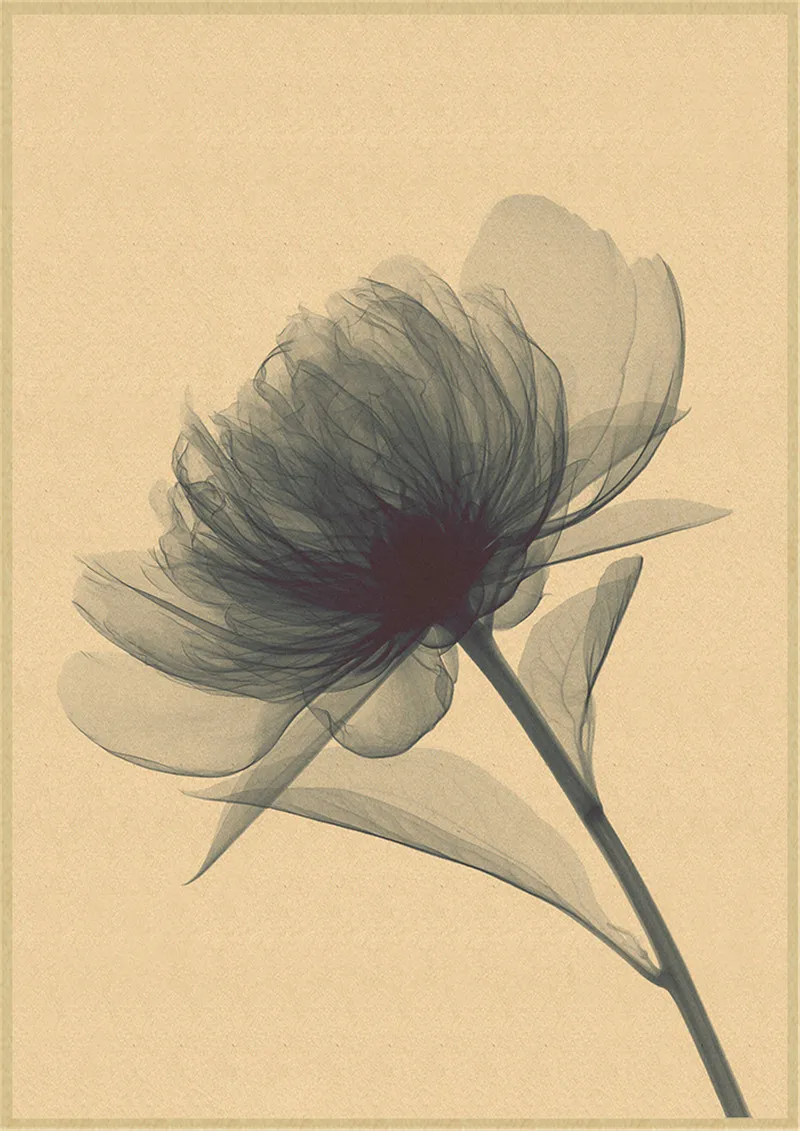 

Simple modern art painting transparent flower Kraft Paper Poster and prints home living room wall decoration