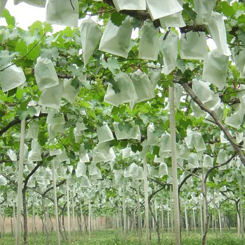 100 шт. нетканые ткани плёнка для защиты от птиц пчел насекомых Виноградов