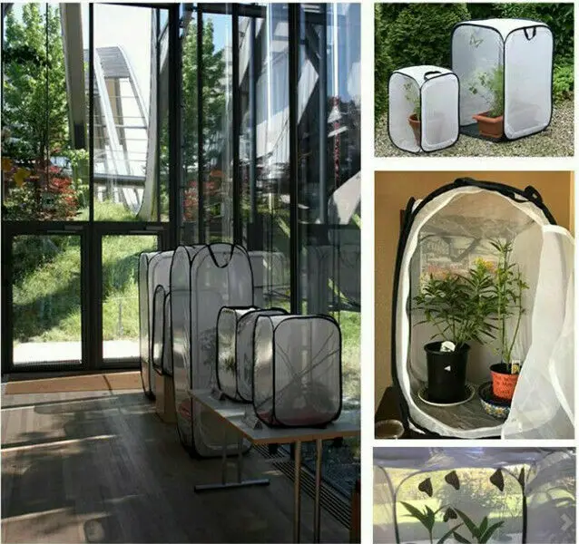 

Foldable Butterfly Habitat Insect Cage Mesh Transparent Surface Portable Zipper