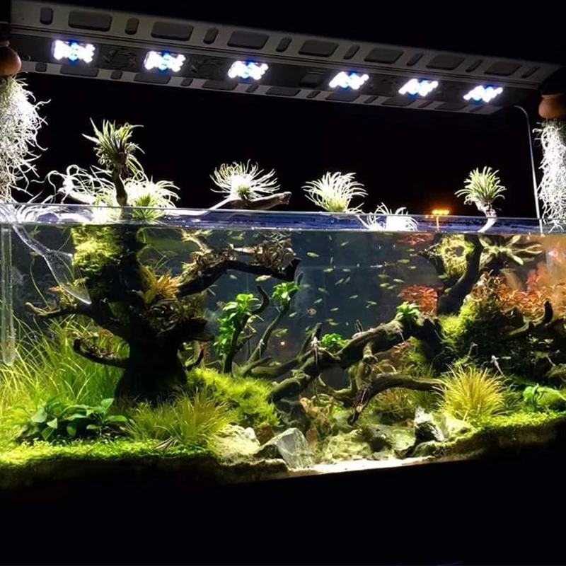저렴한 전문 식물 성장 조명 물고기 탱크 조명 전체 스펙트럼 수족관 조사 액세서리 LED 조명 장식 램프