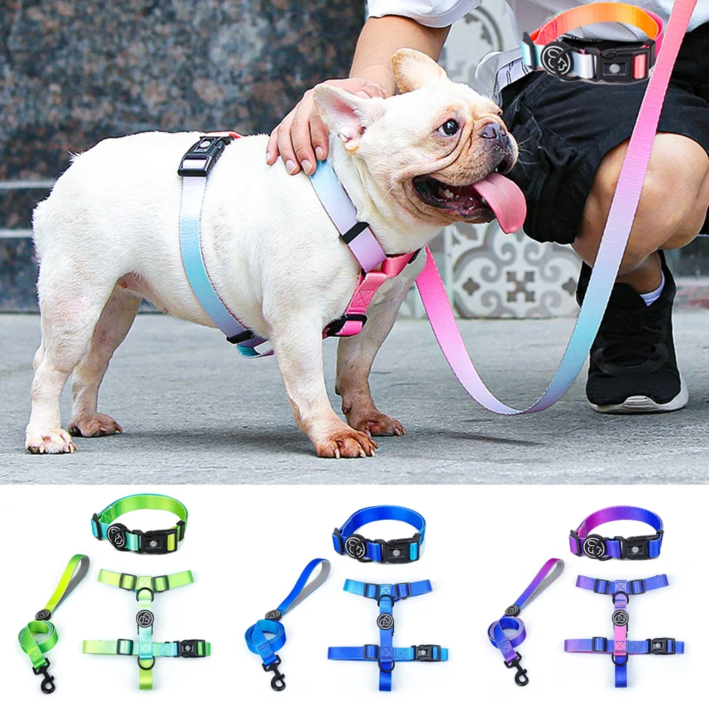 Gradient color Dog Collar and Leash Set dog luxury desgin harness for small medium and large dog harness and leash personalized