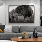 Современные животные Львы голова-голова черно-белая Картина на холсте постеры и принты Настенная картина для гостиной