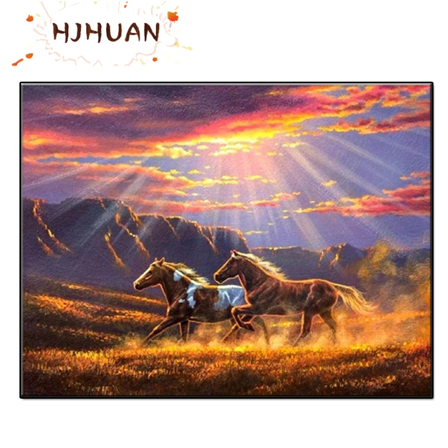 

Алмазная 5D Вышивка «закат», «бегущие по лугу»