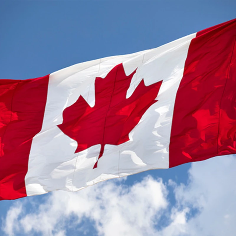 

Бесплатная доставка из Канады флага Канады баннер, флаг Национальный головной убор-комплект из 5 * 3FT 90*150 см Национальный Полиэстер Канада фл...