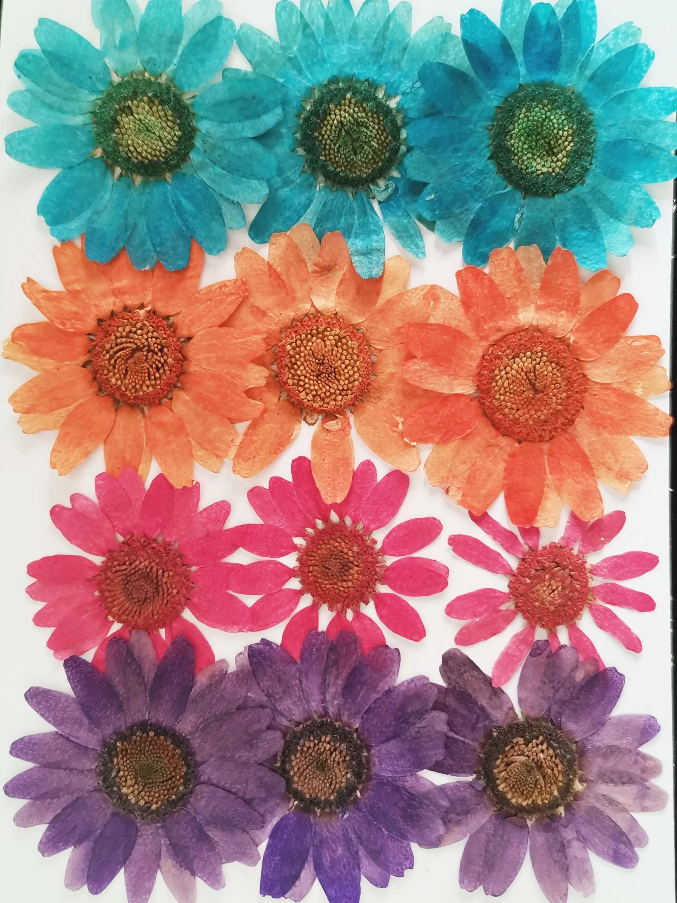 Настоящие сушеные натуральные прессованные цветы смешанные листья набор