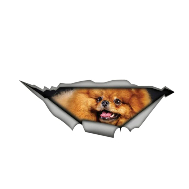 Наклейки для автомобиля с животными Pomeranian 3D наклейка животных виниловая