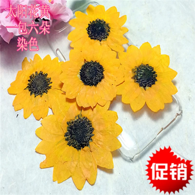 Высушенный цветок из эпоксидной смолы diy ручной прессованный обучающий