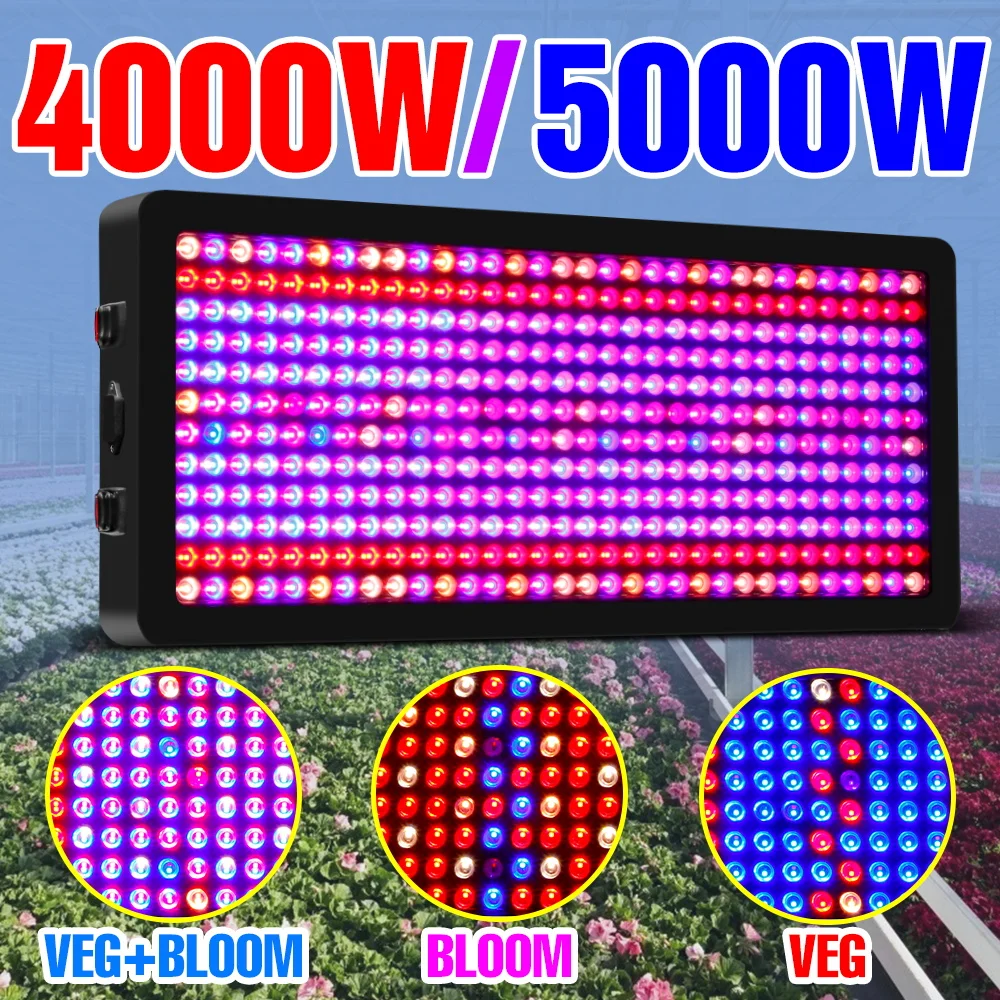 Full Spectrum LED Bulb Plant Grow Light 220V Phyto Lamp Quantum Board LED Grow Light 2000W 3000W 4000W 5000W LED Seeds Phytolamp