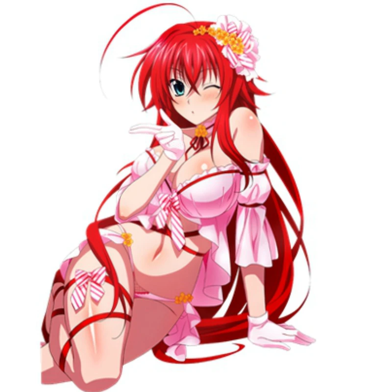 

2 Anime High School DXD Rias Gremory Otaku Dakimakura Cute Anime Girl Vinyl Decal Window Waifu Car Stickers