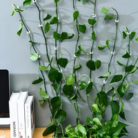 2050pcs lnvisible wall rattan clamp lnvisible wall vine climbing sticky hook rattan fixed clip bracket plant stent supports
