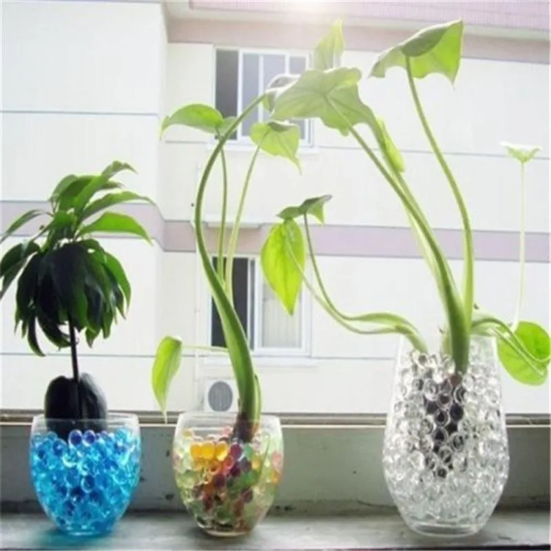 100 шт./пакет разноцветные украшения для дома растения цветы растущие Волшебные