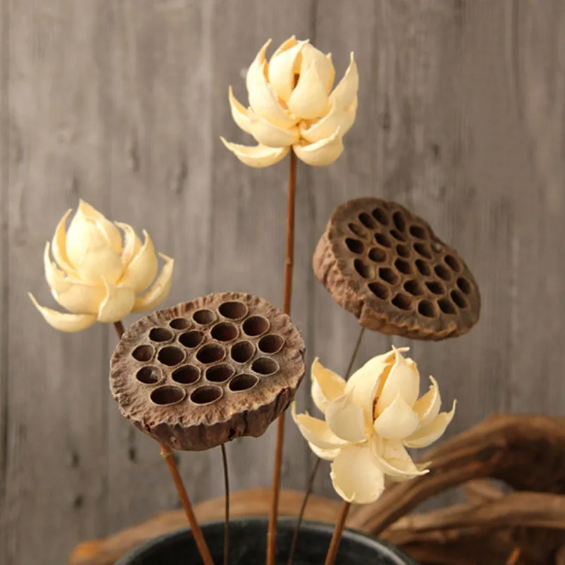 1pc,Lotus Pod Natural Dried Flowers Farmhouse Bouquet Dried Plants Branch Fall Decoration Dry Flower Party Wedding Home Decor