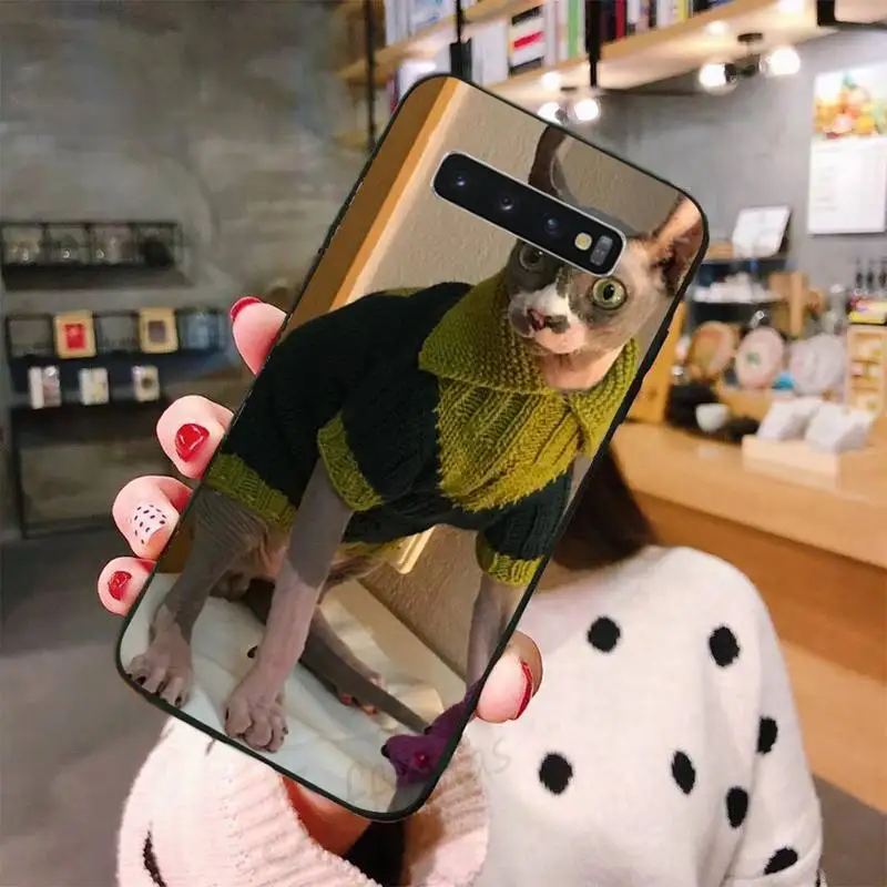 

sphynx cat Phone Case For Samsung A50 A51 A71 A20E A20S S10 S20 S21 S30 Plus ultra 5G M11 funda shell