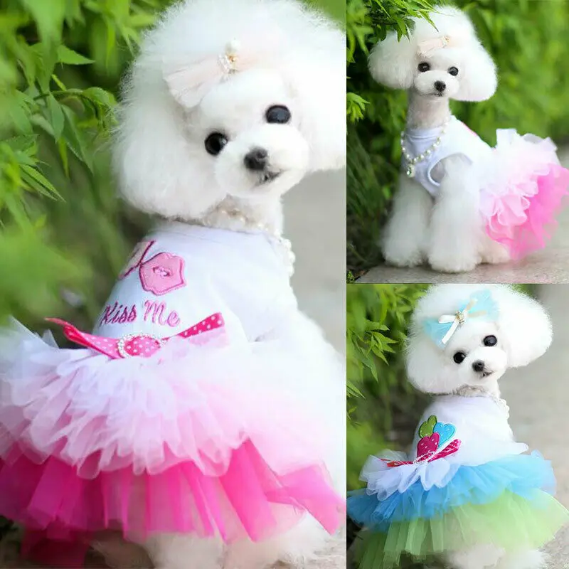 

Princess Dress for Small Girl Dog Apparel Sweety Lace Puppy Pet Dog Clothes