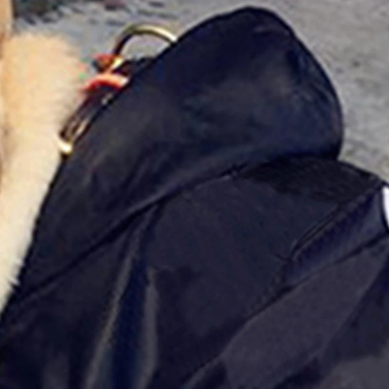 Толстовки для маленьких собак дождевик чихуахуа французского бульдога ветровка