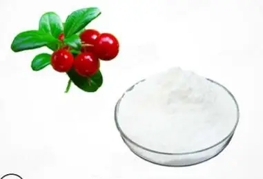 

100g/200g/300g Alpha arbutin 99% cosmetic raw material Whitening,freckle removing