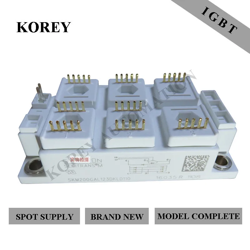 

In Stock Semikron IGBT Module SKM200GAL126DKL SKM200GAL126DKLD110