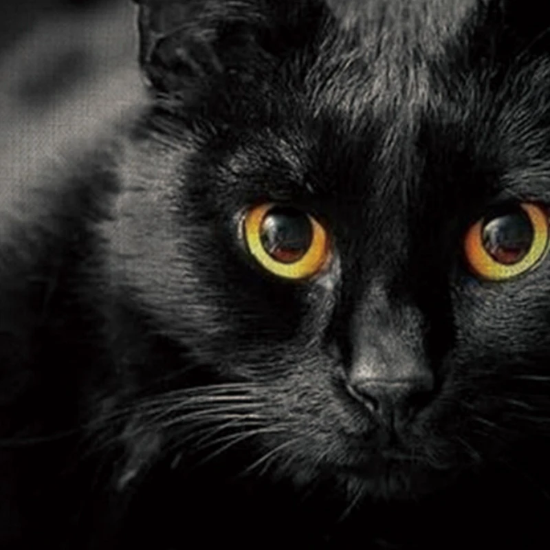 

Cat Cushion Linen Square Cat Pillow Case Decorative Pillow Cover for Home Car Sofa Pillowcase