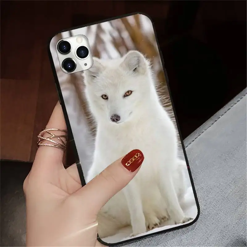 

Fox animal pattern funny Phone Case for iPhone 11 12 pro XS MAX 8 7 6 6S Plus X 5S SE 2020 XR