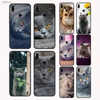 webbedepp british shorthair cat phone case cover fundas for xiaomi redmi note 4 4x 5 6 7 8 pro s2 plus 6a pro