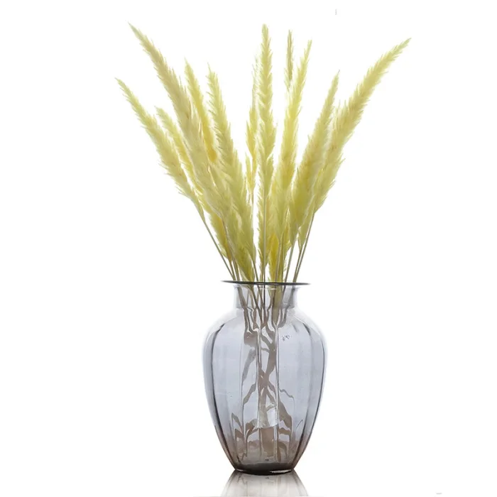 15 шт. Bulrush засушенный натуральный маленький пампасная трава Phragmites коммунис свадебный цветок букет для домашнего декора 6 цветов