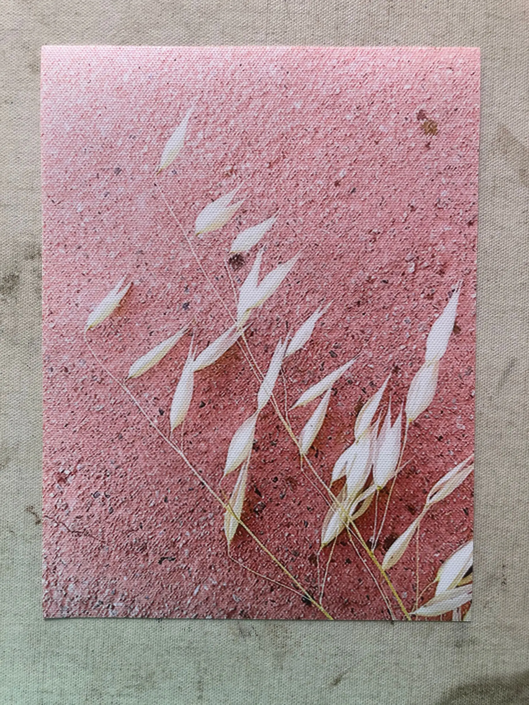 Настенный абстрактный плакат в стиле бохо светло-розового цвета с изображением