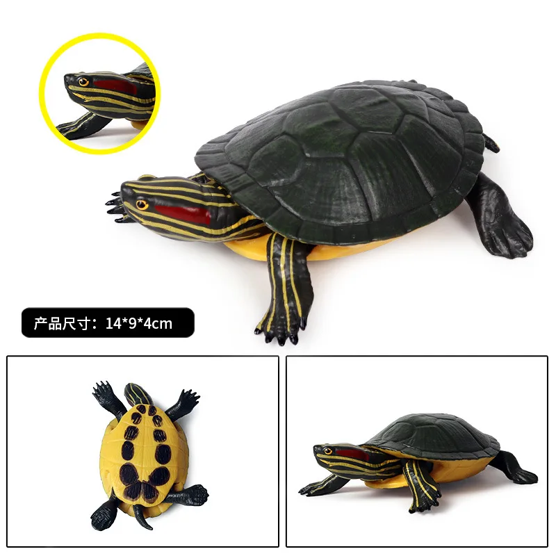Brazil Turtle Animal Model Action Figure Simulation Sea Life Figures Collection PVC Toy Kids Gift | Игрушки и хобби