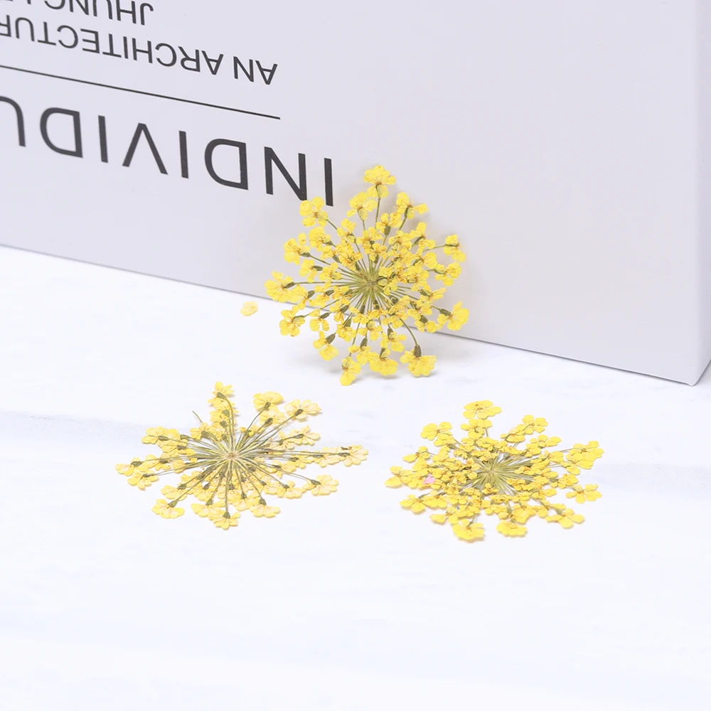 Набор прессованный высушенный для изготовления кулонов ювелирных изделий