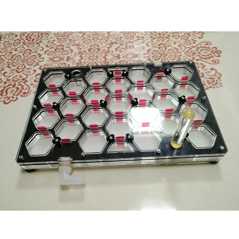 Ячеистая муравьиная гнездо акриловое плоское увлажняющий муравьиный цех