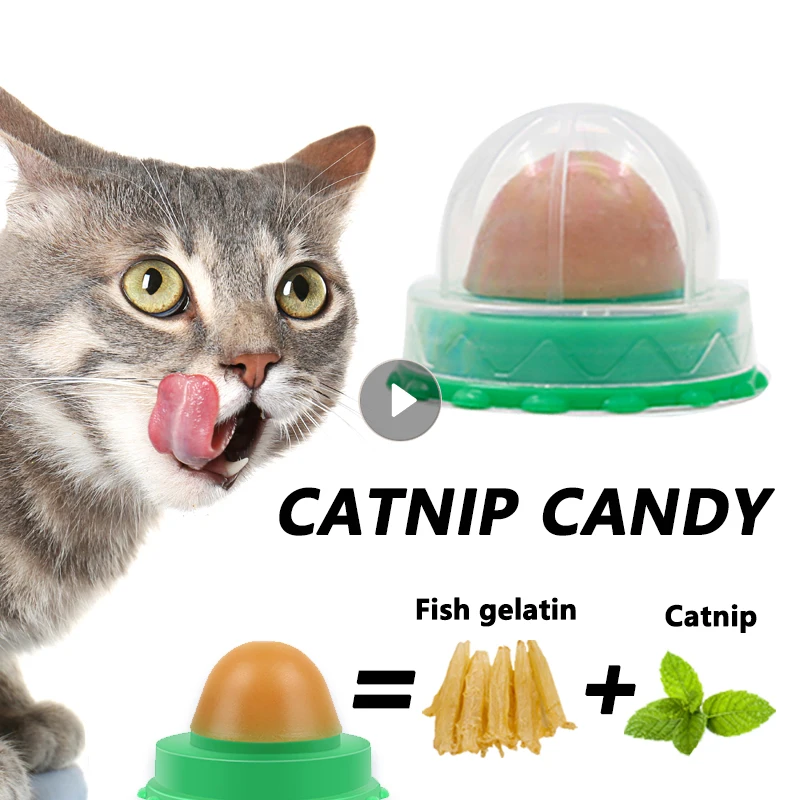 

Кошачья мята, питательный энергетический шар, кошачья мята, сахар, долговечные здоровые закуски для кошек, питательный крем для кошек, лижущ...