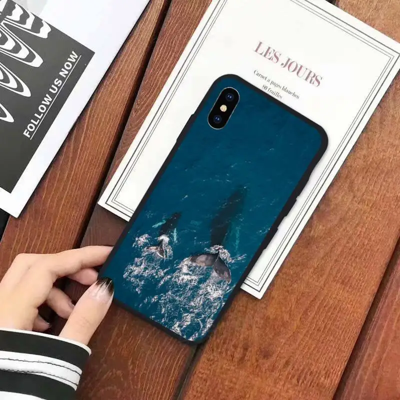 

ocean Killer Whale Orca animal high quality Phone Case cover for iPhone 11 12 mini pro XS MAX 8 7 6 6S Plus X 5S SE 2020 XR