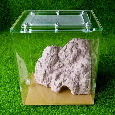 Маленькие муравьиные фермы Муравьиное гнездо для молодых колоний|Товары