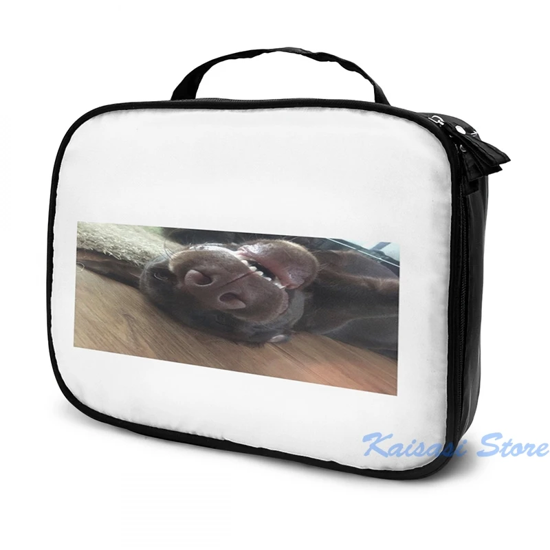 Забавный рюкзак с графическим принтом шоколада Лабрадора щенка USB-зарядка