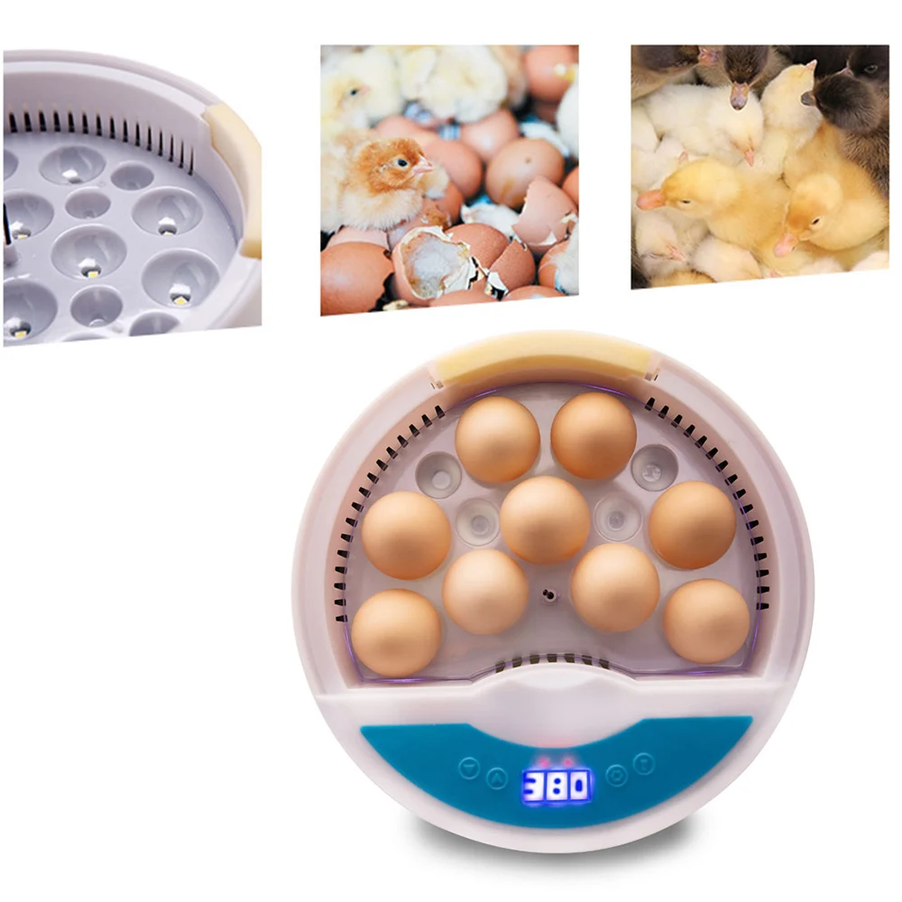 

Цифровой инкубатор для яиц, автоматический светодиодный инкубатор с автоматическим контролем температуры для цыплят, уток, голубей, перепе...