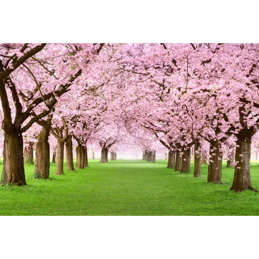 

Spring Floral Trees Green Grassland Passage Photography Backgrounds Vinyl Portrait Photographic Backdrops For Home Photo Studio