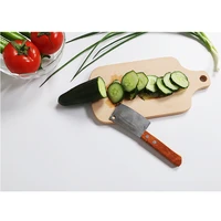 mini knife for kids montessori materials for life practice small chopping knife jam knife childrens kitchen utensils