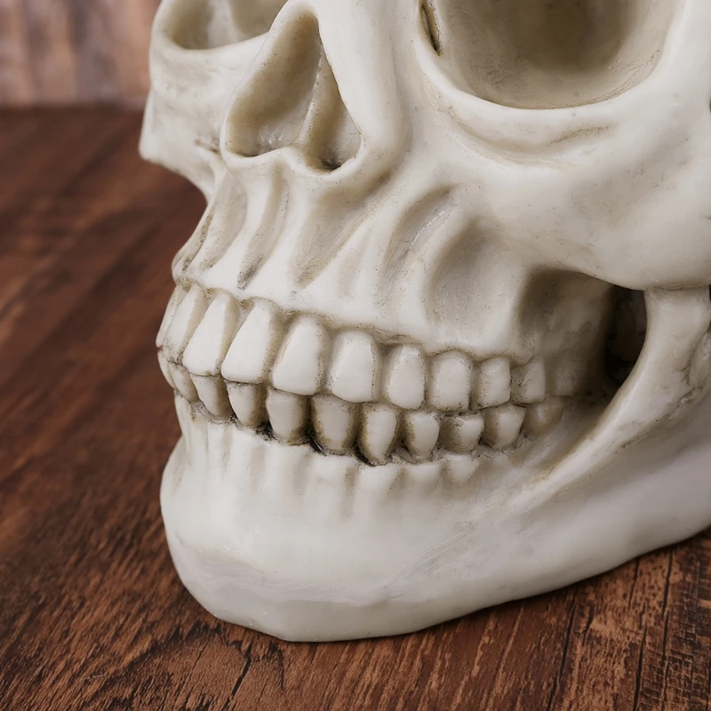

2021 New Resin Art Human Skull Replica Teaching Model Realistic 1:1 Adult Size