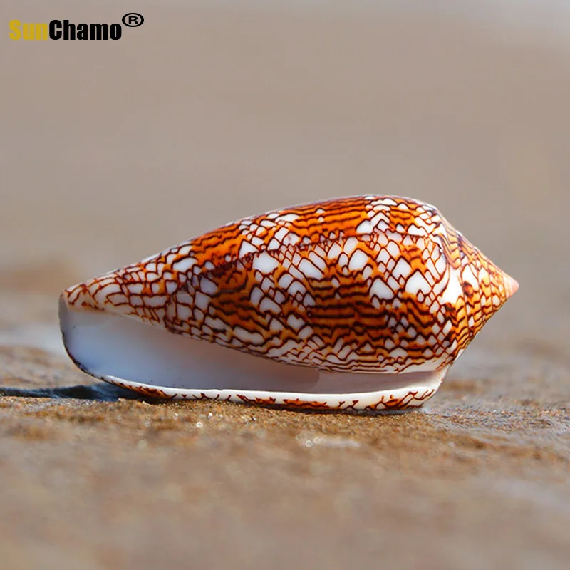 Новая ваза с винтовым плетением раковина из натуральной раковины украшение для