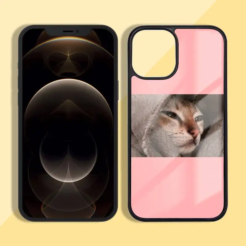 

Cute Cat dog Phone Case Silicone TPU+PC For iPhone 11 12 mini Pro MAX 6 7 8 Plus X XR XS