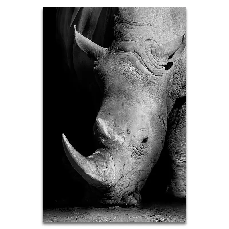 Домашний Декор живопись на холсте животное настенное искусство слон Зебра Лев