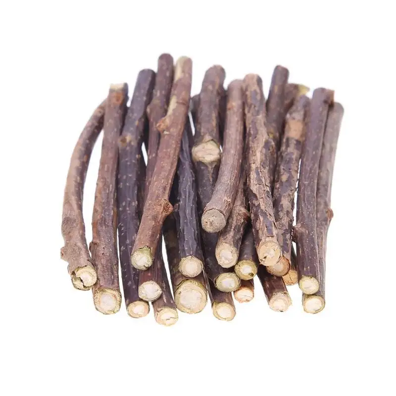 

15/20pcs Natural Fruit Matatabi Cat Snacks Sticks Catnip Pet Cat Molar Rod