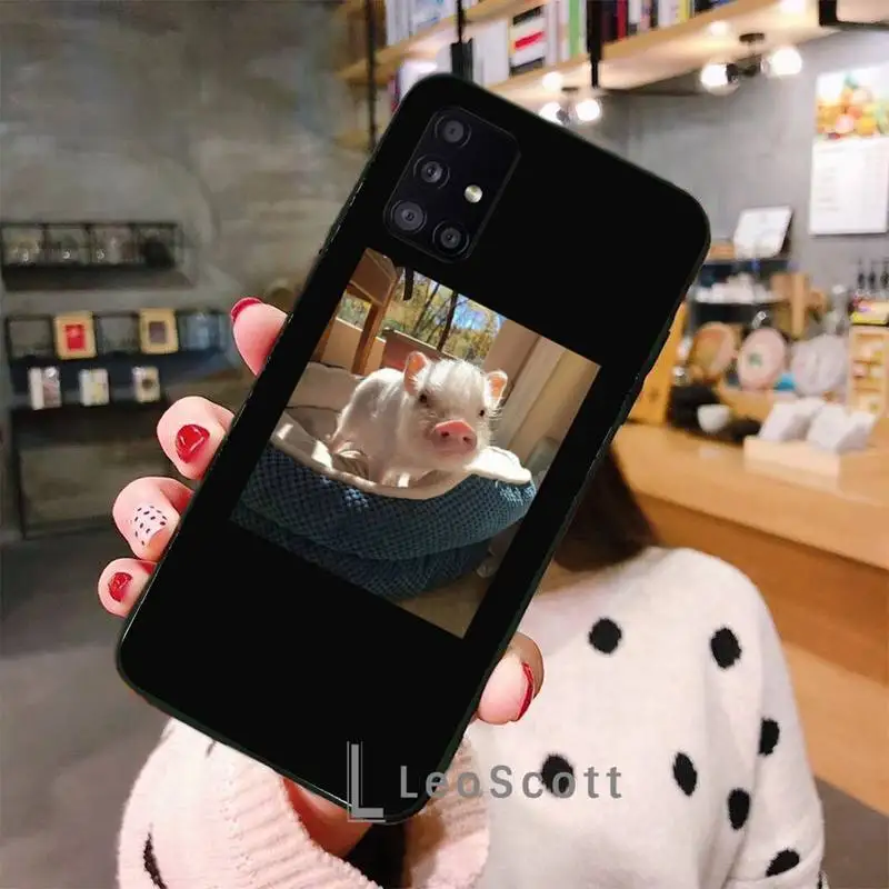 

Petpig Phone Case For Samsung A32 A51 A52 A71 A50 A12 A21S S10 S20 S21 Plus Fe Ultra