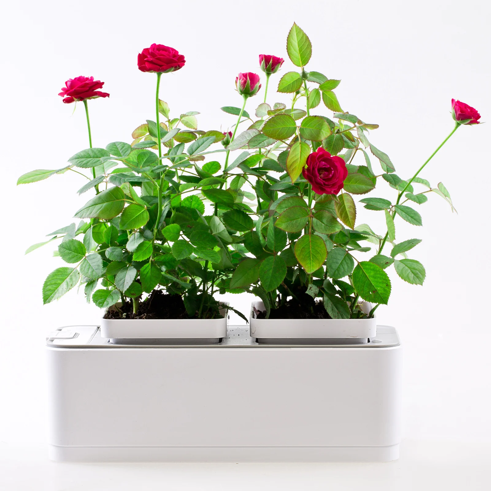 

Hydroponics Growing System Indoor Desk Planter Water Shortage Reminder Soil-free 2 Plant Pots for Office Flower Herbs Gardening